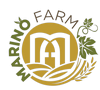 area e-learning