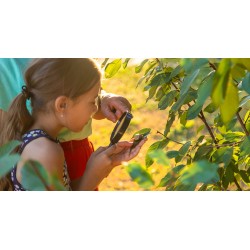 Laboratorio per bambini