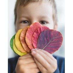 Laboratorio dei colori