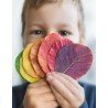 Kopie von Laboratorio per bambini
