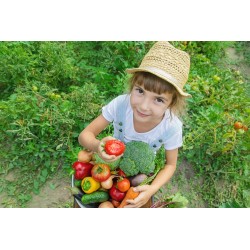Orto con i bambini