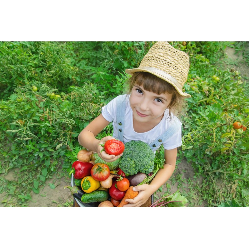 Orto con i bambini