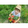 Orto con i bambini