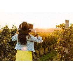 Ritornare alle origini
